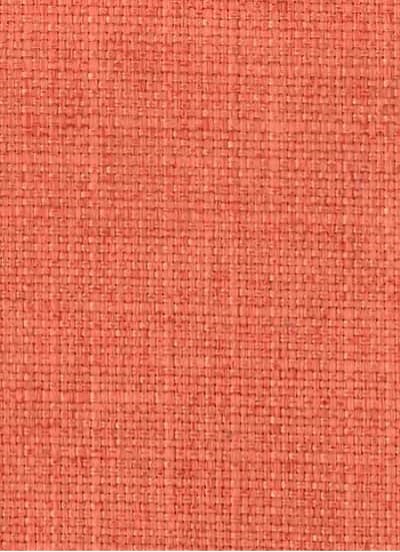 Tork Coral